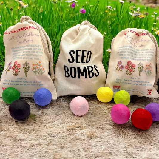 Seed Bombs - 10 Pack