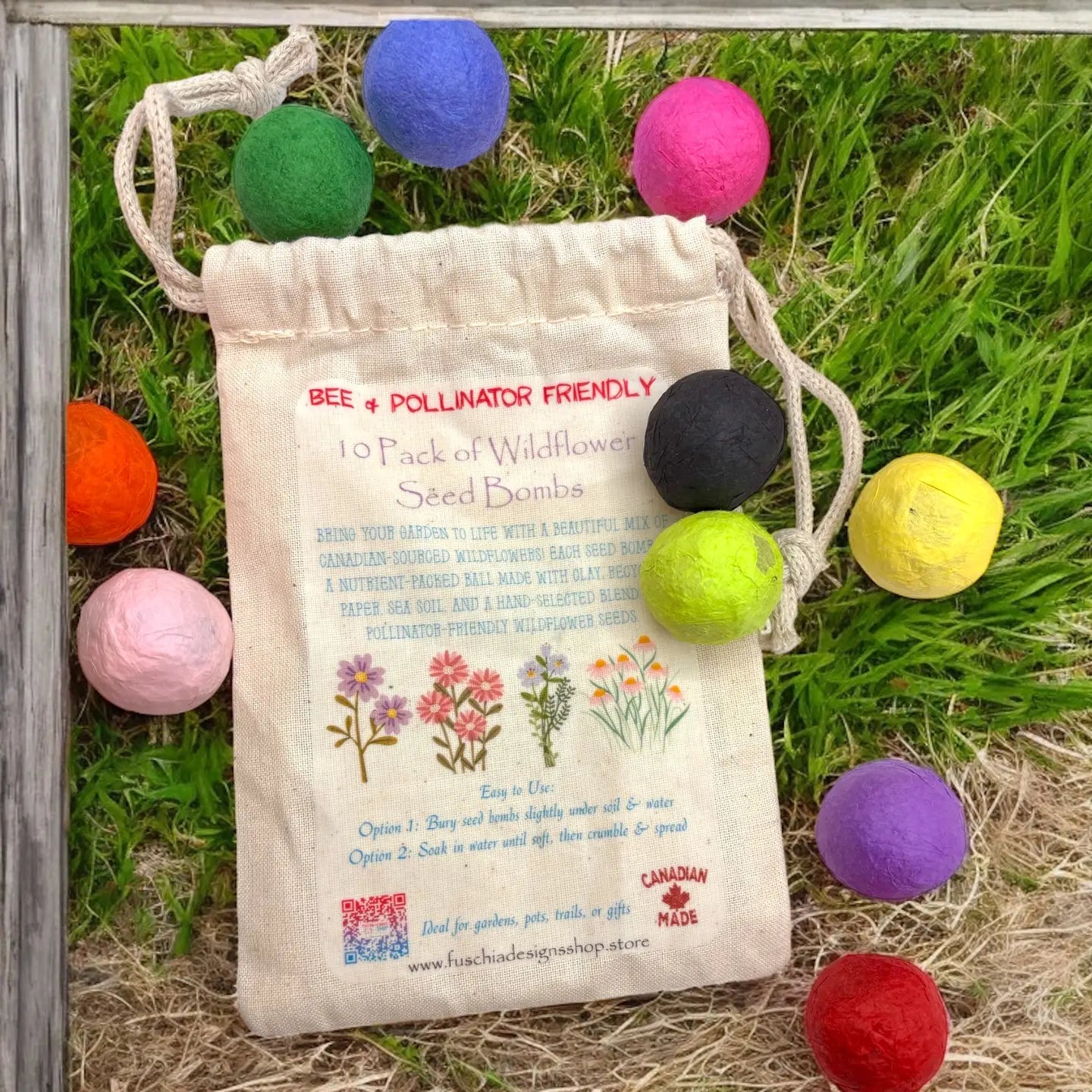 Seed Bombs - 10 Pack